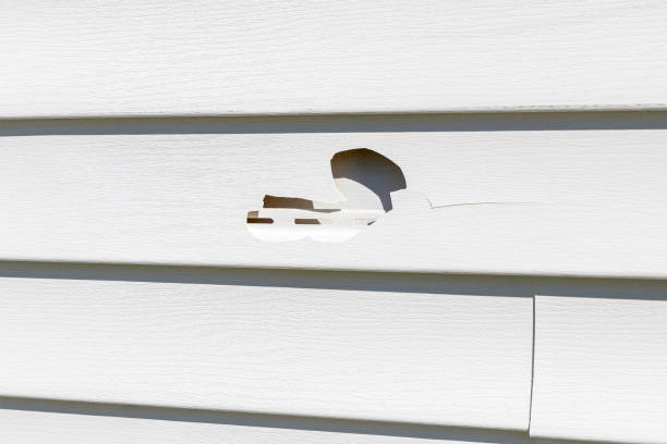 Best Fascia and Soffit Installation  in Woodcliff Lake, NJ